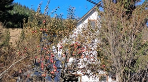 Schimb vind Casa la Durau - imagine 13