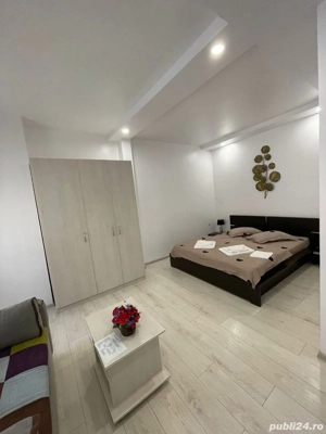Vând afacere la cheie   vilă tip hotelier, ultracentral, Sibiu - imagine 8