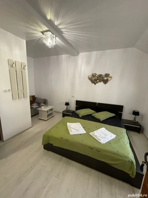 Vând afacere la cheie   vilă tip hotelier, ultracentral, Sibiu - imagine 9
