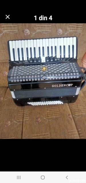 vind acordeon italian. Goldencoup.