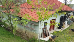 Vand gospodarie taraneasca teren Com Danicei Sat Ciresu  7300mp la 18.000euro - imagine 7