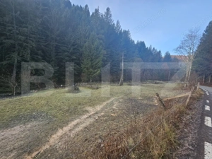 Teren Intravilan 10000 mp, Furduieşti, Câmpeni