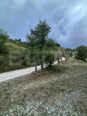 Teren intravilan de 1585 mp, Campeni