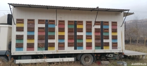 camion apicol Man 12 tone - imagine 3