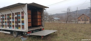 camion apicol Man 12 tone - imagine 5