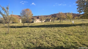 Vand casa in Damiș - imagine 4