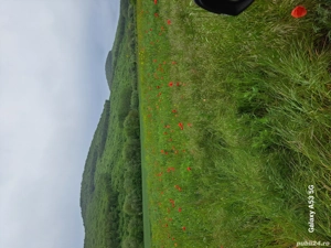 Teren intravilan, zonă de pădure, la  Mânăstirea Celic Dere, Sat Telița, jud. Tulcea