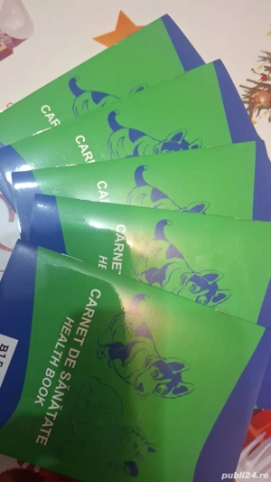 Vand Pui Labrador Retriver - imagine 3