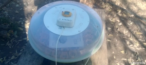 Set incubator oua pui găină rață gâscă  - imagine 3