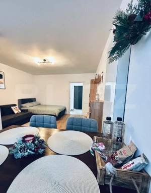 Garsonieră renovată și mobilată-utilată, 31 mp, Brazda lui Novac - imagine 3