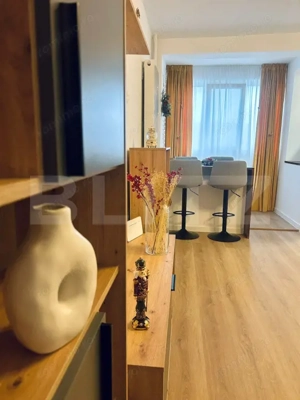 Garsonieră renovată și mobilată-utilată, 31 mp, Brazda lui Novac - imagine 6