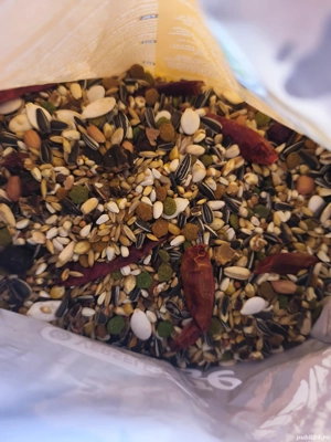 Vând mâncare pentru papagali  - imagine 2