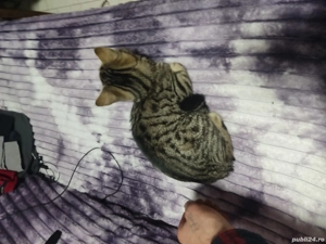 se doneaza - imagine 2