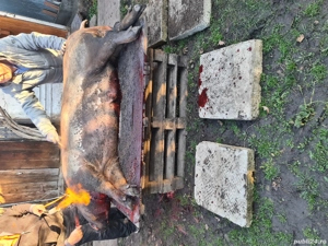 Slănină de porc afumată natural cu lemn de fag 