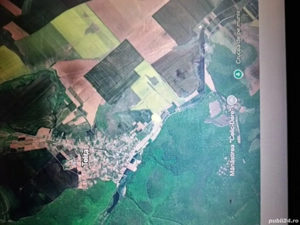 Teren intravilan, zonă de pădure, la  Mânăstirea Celic Dere, Sat Telița, jud. Tulcea - imagine 5