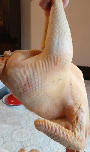 Vând pui de casă  - imagine 4