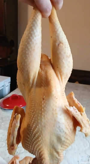 Vând pui de casă  - imagine 5