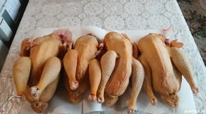 Vând pui de casă  - imagine 2