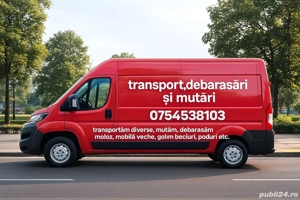 transport mutari debarasari 