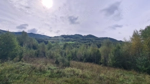 Vând proprietate pe Transapuseana  - imagine 10