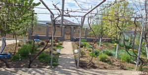 Casă de vânzare - Gara Banca - imagine 2