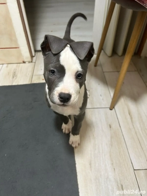 cautam famile iubitoare  - imagine 2