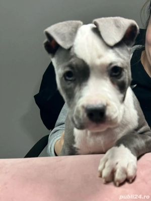 cautam famile iubitoare 