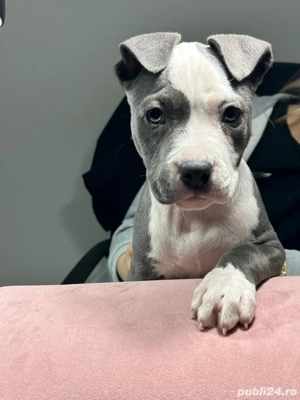 cautam famile iubitoare  - imagine 3