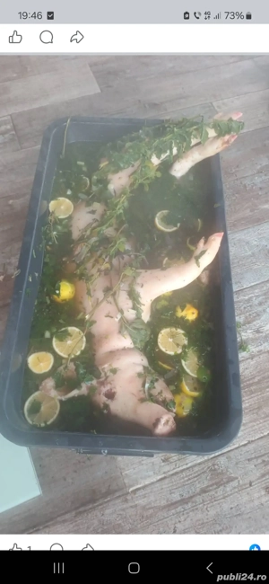 Vand purcei pentru rotisor  - imagine 3