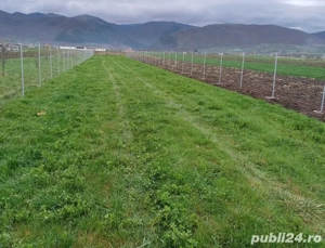 De Inchiriat Teren inconjurat la Gura Raului -Orlat - Sibiu - DJ 106D