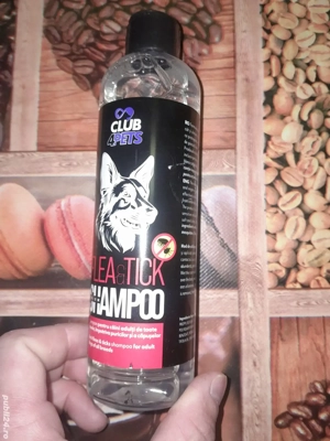 șampon anti purcei si căpușe  - imagine 2