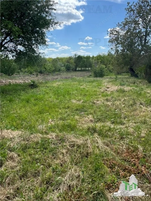 Casa si teren localitatea Posta jud Tulcea - imagine 2