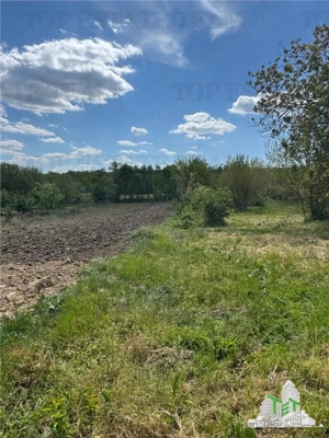 Casa si teren localitatea Posta jud Tulcea - imagine 11