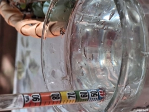 Vând țuică de struguri  - imagine 4