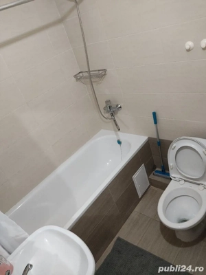 Apartament cu o camera de inchiriat in zona Horea - imagine 2