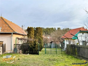 FILM! 5.000mp teren intravilan cu casuta rustica, Dalnic, Covasna - imagine 11