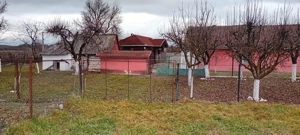 OFERTA in Băcia, Hunedoara ! Proprietate 2 case + Cabană + Livadă - imagine 15