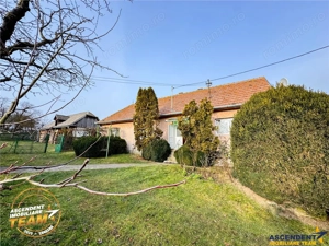 FILM! 5.000mp teren intravilan cu casuta rustica, Dalnic, Covasna - imagine 6