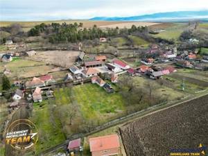 FILM! 5.000mp teren intravilan cu casuta rustica, Dalnic, Covasna - imagine 9