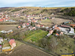 FILM! 5.000mp teren intravilan cu casuta rustica, Dalnic, Covasna - imagine 15