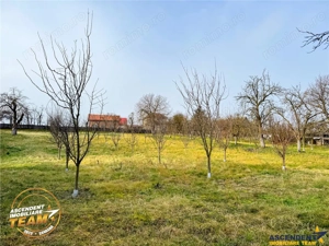 FILM! 5.000mp teren intravilan cu casuta rustica, Dalnic, Covasna - imagine 10