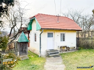 FILM! 5.000mp teren intravilan cu casuta rustica, Dalnic, Covasna - imagine 17