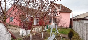 OFERTA in Băcia, Hunedoara ! Proprietate 2 case + Cabană + Livadă - imagine 2