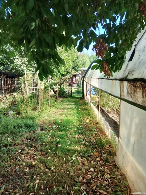 Casă P+1 cu teren 700 mp, panouri solare, aproape de București   Livedea, Ialomița - imagine 5