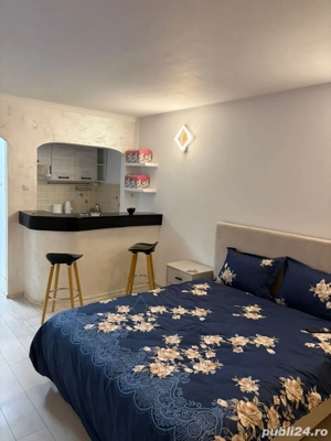 Regim Hotelier Tiglina 1 A-uri - imagine 2