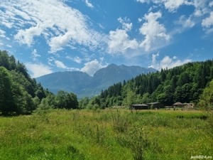 Vând teren Bârsa Fierului - Zărnești spre Plaiul Foii cu priveliște la Munții Piatra Craiului