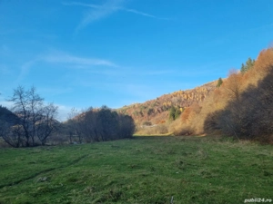 Vând teren Bârsa Fierului - Zărnești spre Plaiul Foii cu priveliște la Munții Piatra Craiului - imagine 5