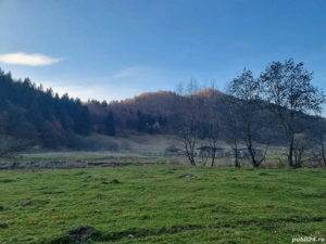 Vând teren Bârsa Fierului - Zărnești spre Plaiul Foii cu priveliște la Munții Piatra Craiului - imagine 4