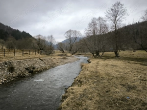 Vând teren Bârsa Fierului - Zărnești spre Plaiul Foii cu priveliște la Munții Piatra Craiului - imagine 6