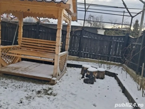 Casa de Vanzare - imagine 5